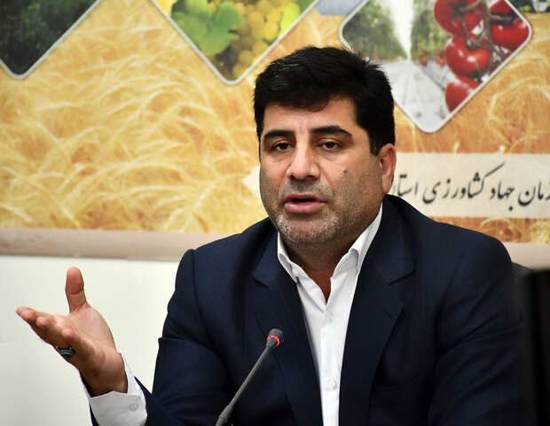مرغ منجمد با قیمت مصوب دولتی در آذربایجان شرقی عرضه میشود