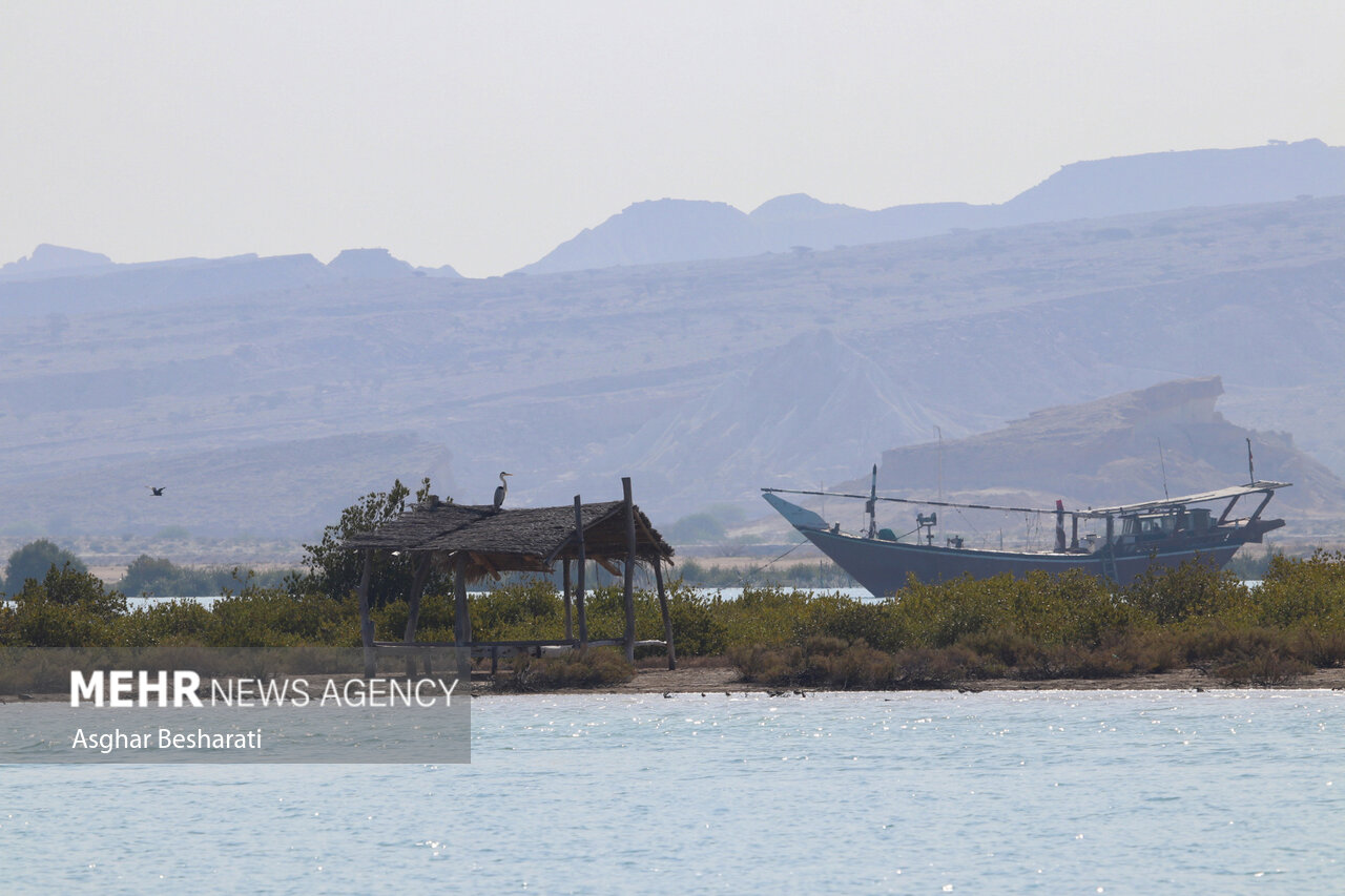 تصرف سواحل و خورهای استان بوشهر در مرحله پیگیری قضایی است