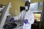 Kongo'da Ebola salgını büyüyor
