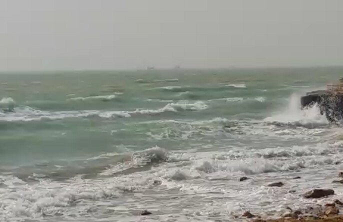 سواحل استان بوشهر متلاطم است/ کاهش دمای هوا