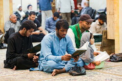 عزاداری شیعیان پاکستانی در حرم حضرت معصومه (س)