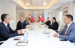 Azerbaycan Enerji Bakanı, Gürcistan Başbakanı ile görüştü