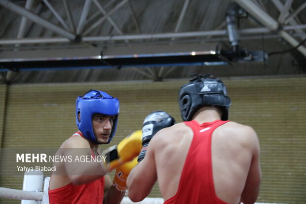 سومین مرحله اردوی تیم ملی بوکس 6