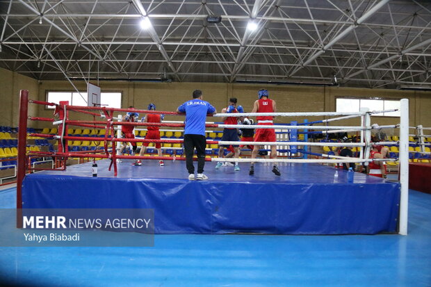 مجمع فدراسیون بوکس «حسین ثوری» را برکنار کرد