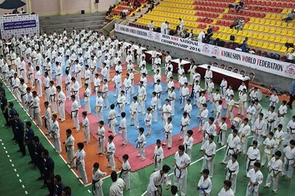 Iran’s Mazandaran to host intl. Karate c'ships