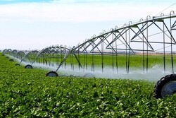 تخصیص آب در بخش کشاورزی به ۷۲ میلیارد مترمکعب کاهش یافت