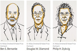 3 economists share Nobel economics prize