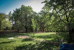 خط و نشان رئیس دادگستری رابر برای سارقین گردو