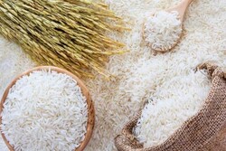 دپوی ۵۰۰ هزار تن برنج در انبارهای مازندران
