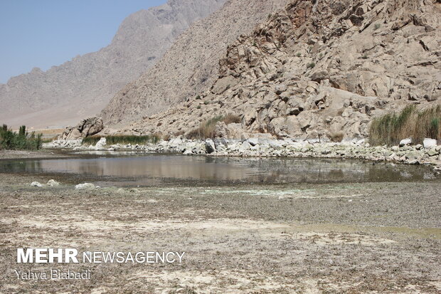 عدم تایید انتقال آب برای رفع خشکسالی تالاب‌های کرمانشاه