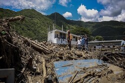 Landslides in Venezuela kill at least 43: report