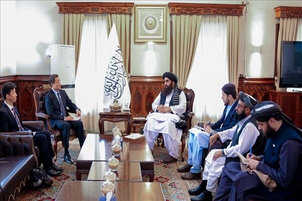 دیدار سرپرست وزارت خارجه طالبان با سفیر ژاپن در کابل