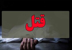 قتل مرد ۴۷ ساله به دست همسرش در شمال شهر تهران