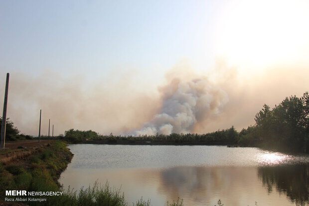 مصائب بزرگترین زیستگاه طبیعی جانوران ایران