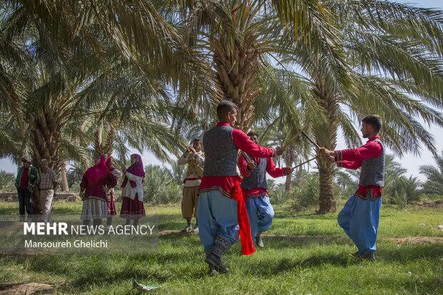 جشنواره گردشگری نخل و خرما در طرود(جنوب شهرستان شاهرود) برگزار شد.