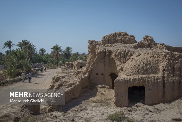 جشنواره گردشگری نخل و خرما در طرود(جنوب شهرستان شاهرود) برگزار شد.