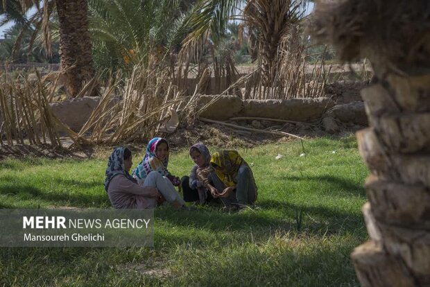 جشنواره گردشگری نخل و خرما در طرود(جنوب شهرستان شاهرود) برگزار شد.