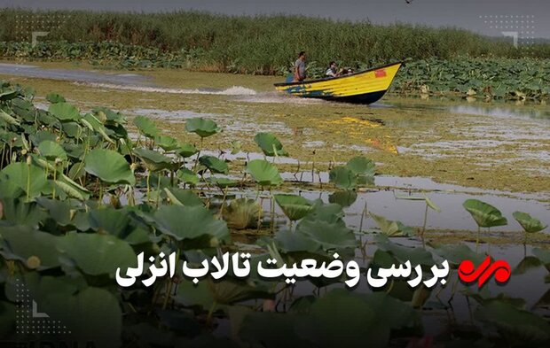 نوشدارو پس از مرگ تالاب؛ بهشت آبی گیلان را جهنم نکنید