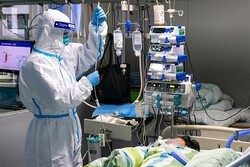 1.2 million foreign patients treated in Iranian hospitals