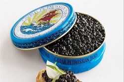 Iran exporting 5.5 tons of caviar to 33 foreign countries