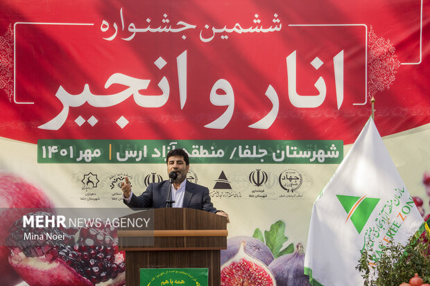 Festival of pomegranate, fig in NW Iran
