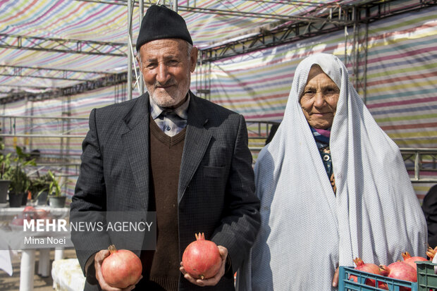 Festival of pomegranate, fig in NW Iran
