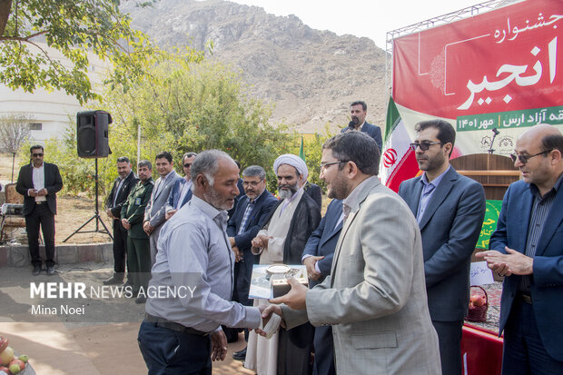 Festival of pomegranate, fig in NW Iran
