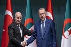 محورهای گفتگوی اردوغان و رئیس‌جمهور الجزایر