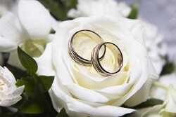 ازدواج ۵۱۸ نفر در کشور از طریق «همدم»/ استقبال دهه شصتی‌ها از پلت فرم ازدواج