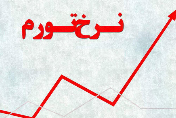 نرخ تورم در دی ماه به 46.3 درصد رسید