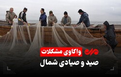 فصل ماهی چِرِم در مازندران/تورهای ماهیگیران پُر و دست ها خالی است