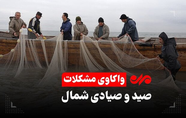 خبر خوب برای صیادان شمال و جنوب کشور خبر خوب برای صیادان شمال و جنوب کشور