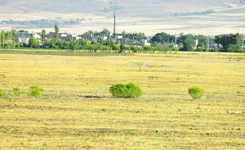 نابودی در یک قدمی چمن تاریخی سلطانیه