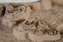 کشف فسیل ۲ هزار ساله در اسلامشهر