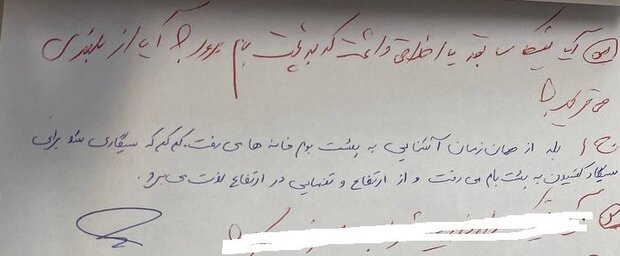 آخرین پیام نیکا شاکرمی به مادرش 3