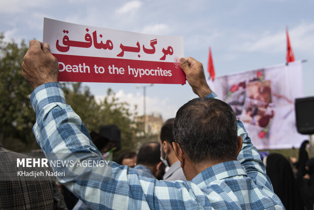 پشت شیرازیها گرم شد/ محکومیت جنایت دشمنان توسط قومسیها