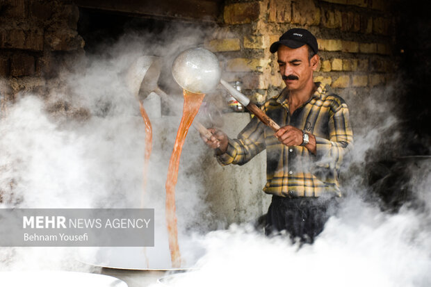 üzüm festivali