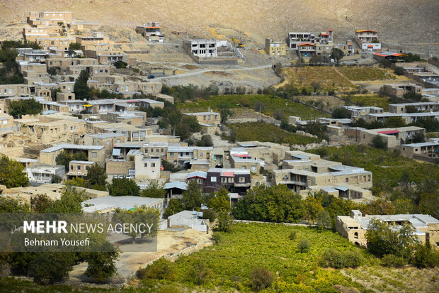 نهمین جشنواره انگور روستای هزاوه