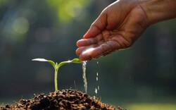 ثبت بزرگداشت «روز جهانی خاک » سال ۲۰۲۲ توسط پژوهشگر گلستانی