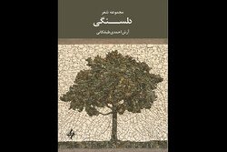 «دلسنگی» آرش احمدی منتشر شد