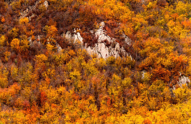 شروع پاییز، زمان ایدهآل سفر به شمال