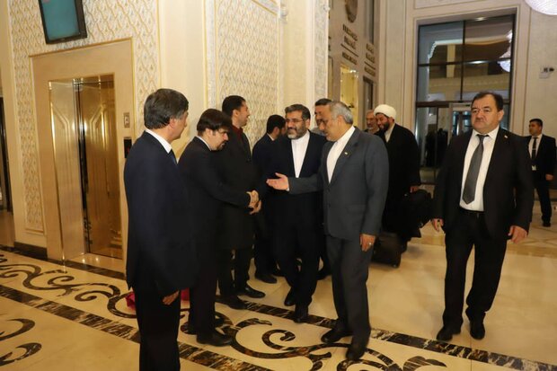وزیر فرهنگ و ارشاد اسلامی وارد دوشنبه شد/فصل نوین روابط دو کشور