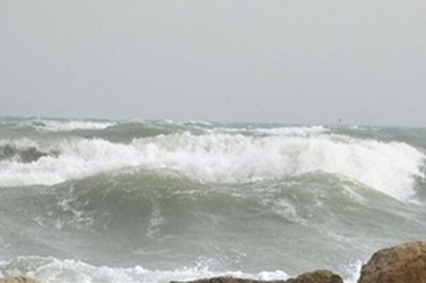 سواحل استان بوشهر متلاطم است/ ورود سامانه جدید بارشی از دوشنبه