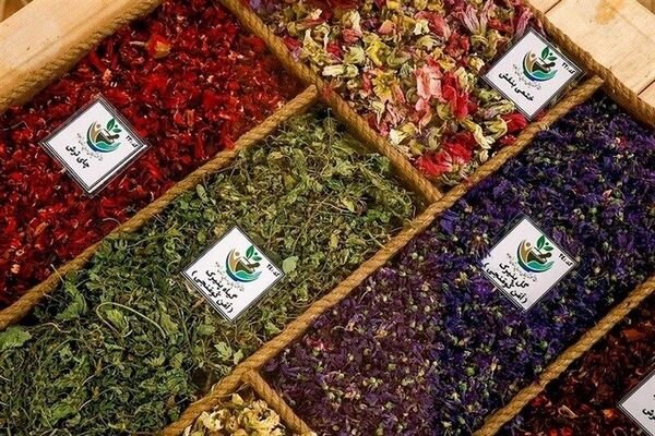 6th exhibition on herbs kicks off in Iran