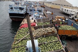 Iranian vessel carrying fruits sinks off UAE coasts