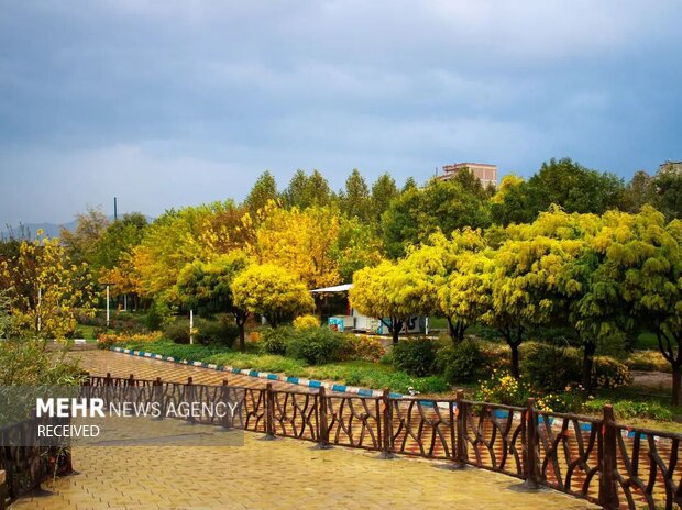 Sakız kentinde sonbahar yağmuru