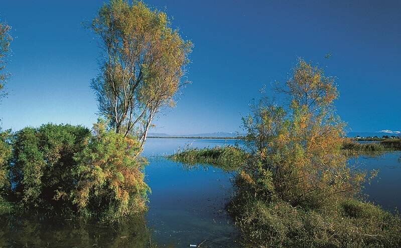 روزگار ناخوش تالاب های گلستان/گفتاردرمانی برای تالاب «آب» نمی شود