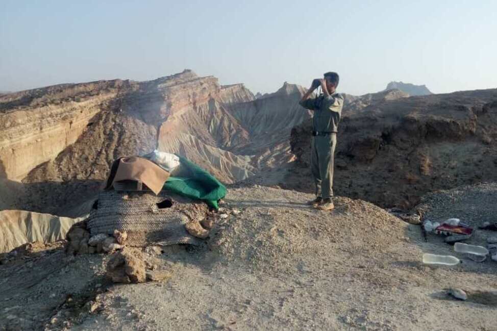 ۳ باند قاچاق پرندگان شکاری در استان بوشهر منهدم شد