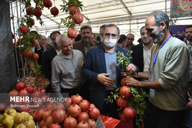 ایران کے انار کے لئے عالمی شہرت یافتہ شہر ساوہ میں پہلا انار فیسٹول
