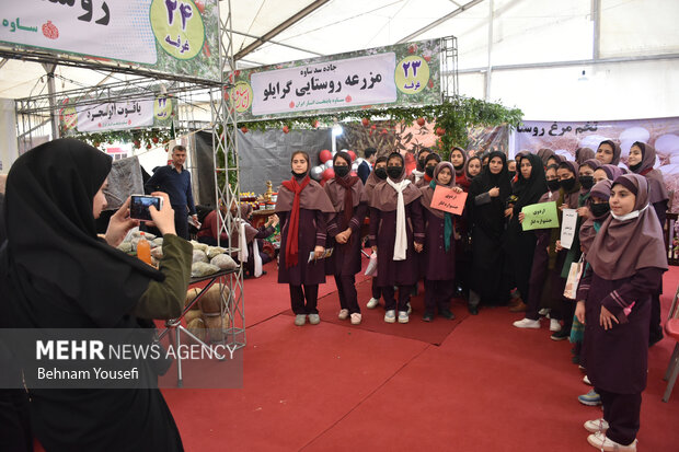 ایران کے انار کے لئے عالمی شہرت یافتہ شہر ساوہ میں پہلا انار فیسٹول
